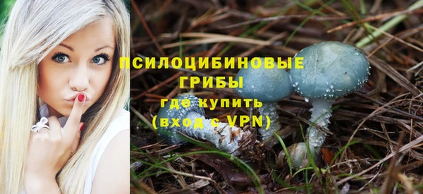 ешки Магас