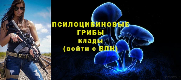 ешки Магас