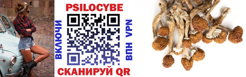 Галлюциногенные грибы Psilocybine cubensis Алушта
